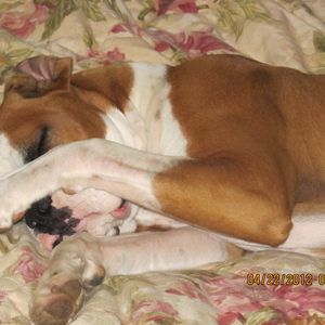 Meet your Posher, Keith